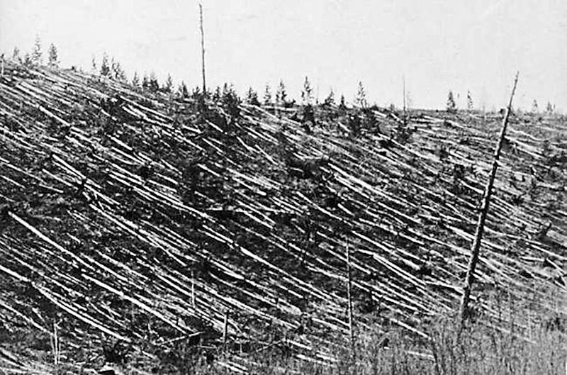 Круговой завал деревьев на месте падения Тунгусского метеорита