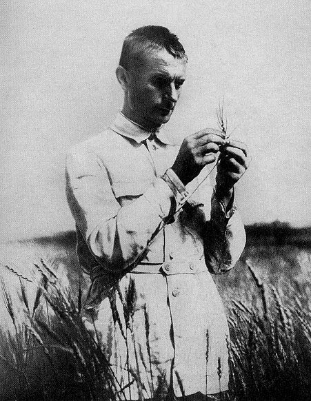 Трофим Денисович Лысенко после избрания его в 1934 г. академиком Всеукраинской академии наук