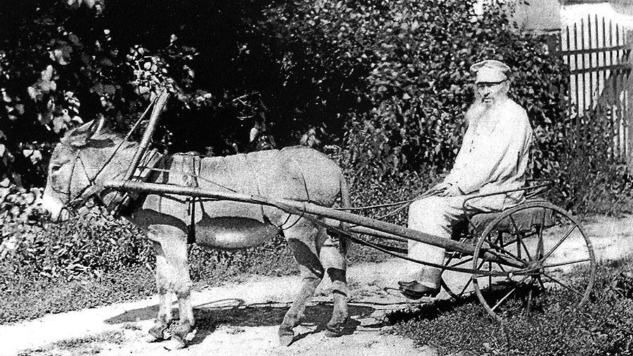 Чистое искусство по-нашему: Афанасий Фет и его право на мироздание