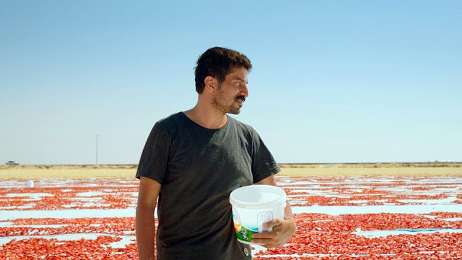 47-й ММКФ: «Воздушный змей», «Почтарь», «Гадкая сестра» и другие