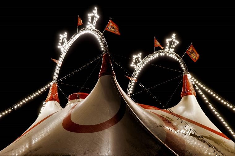 Гастроли Большого Московского цирка под руководством братьев Запашных в Санкт-Петербурге начнутся 30 декабря