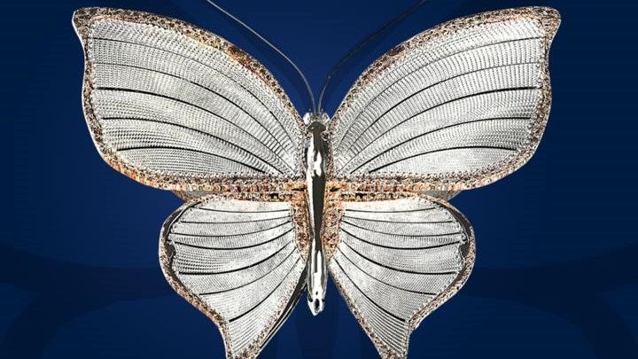 В Минске стартовала спецпрограмма кинопремии «Бриллиантовая бабочка» 