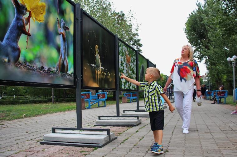 В Луганске начала работать десятая выставка в рамках проекта «Наши традиции»