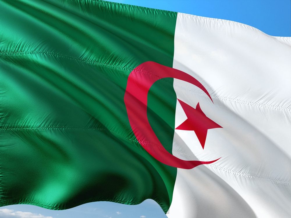 Алжир передал Франции список культурных ценностей для реституции