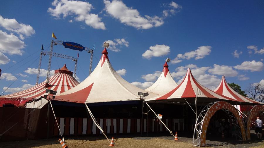 Более 150 артистов примут участие в цирковом фестивале «Без границ» в Санкт-Петербурге
