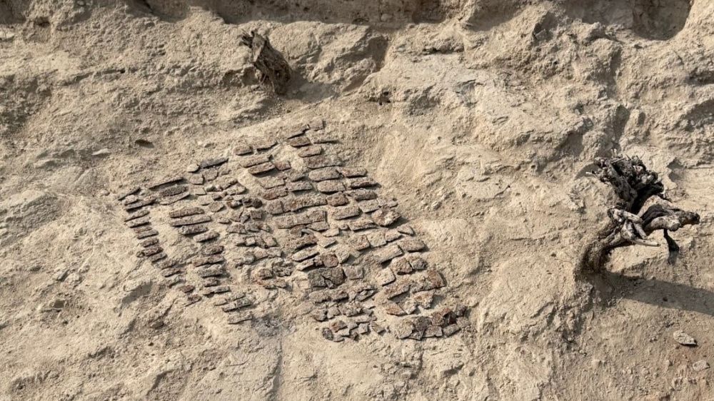 В Узбекистане археологи раскопали древний храм