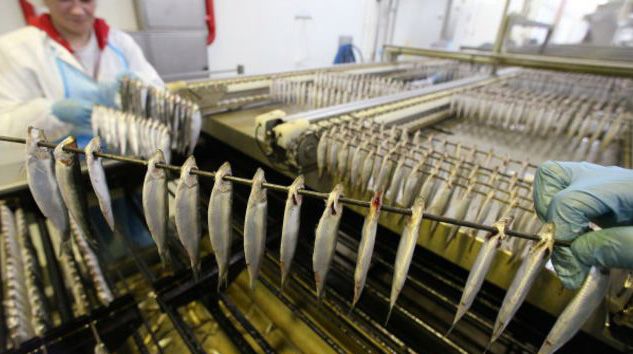 Россия запретила ввоз шпрот из Польши