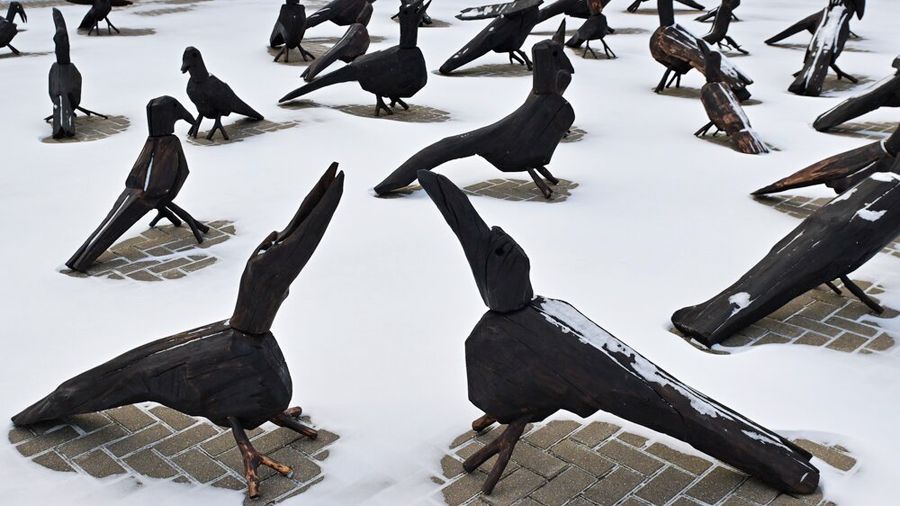 «Грачи» прилетели: что показывают на выставке «Саврасов и тишина»