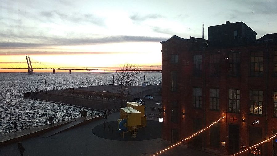 В Петербурге покажут кинопремьеры из Канн, Берлина и Роттердама