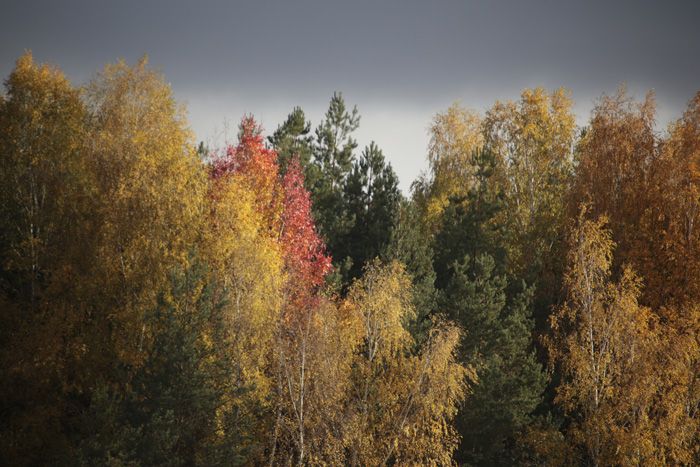 И о погоде. 30 сентября — 6 октября