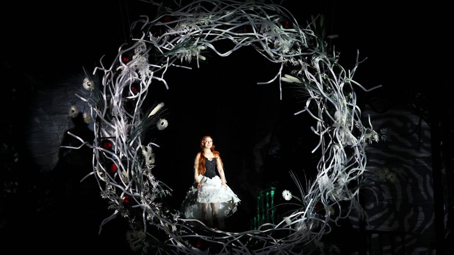 Нос без конца: ТЮЗ имени Брянцева показал ужасного Гауфа