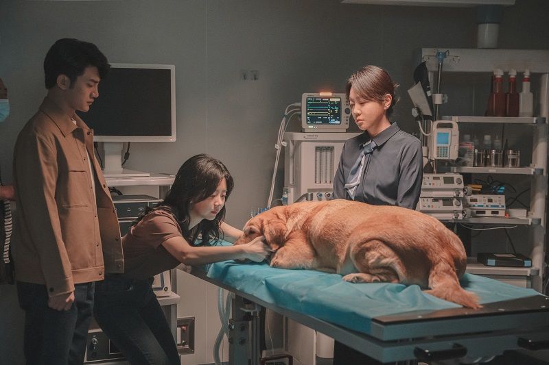 В российский прокат 11 апреля выйдет китайский семейный фильм «Собачья жизнь: друзья навек»
