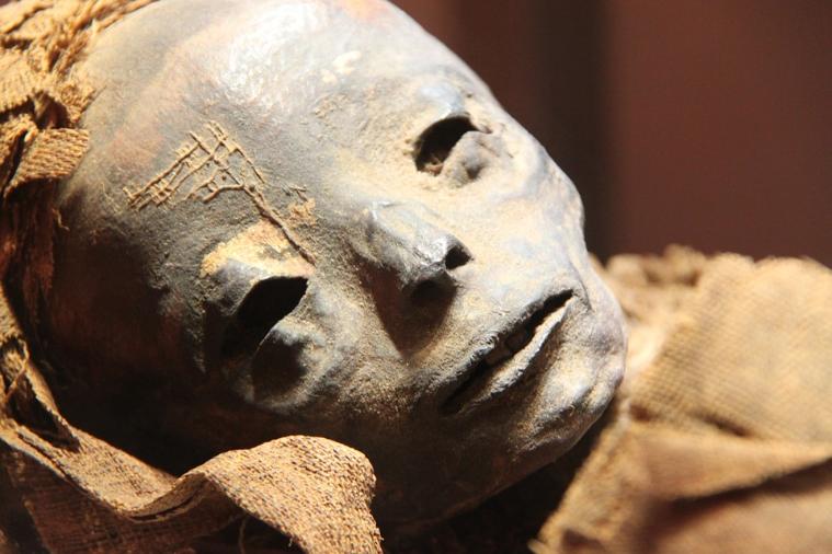 Египетская выставка «Мумия меняет имя» пройдет в Эрмитаже