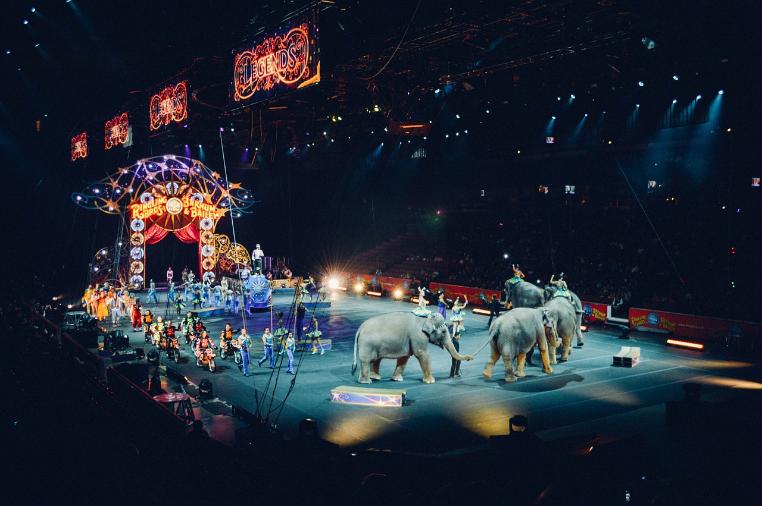 В нескольких регионах России стартует фестиваль цирковых мастер-классов 