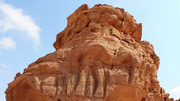 Гигантские статуи верблюдов в Северной Аравии были созданы в VI тысячелетии до нашей эры