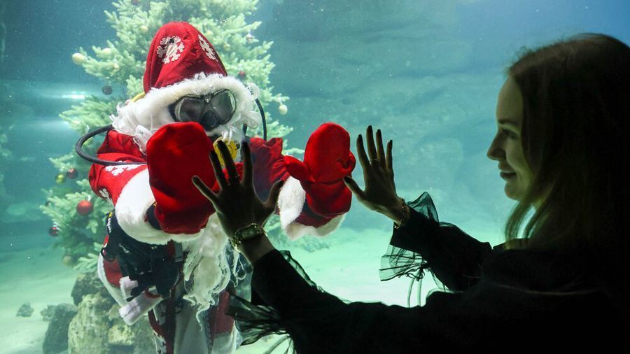 И вот она, нарядная: 10 самых ярких елок Москвы