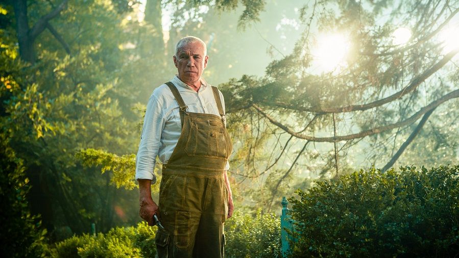 Сергей Гармаш: У меня было предчувствие, что «Чебурашка» понравится зрителям