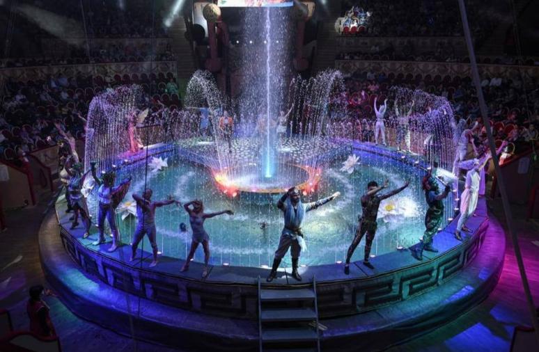 Цирки России помогут восстановлению цирков Донбасса
