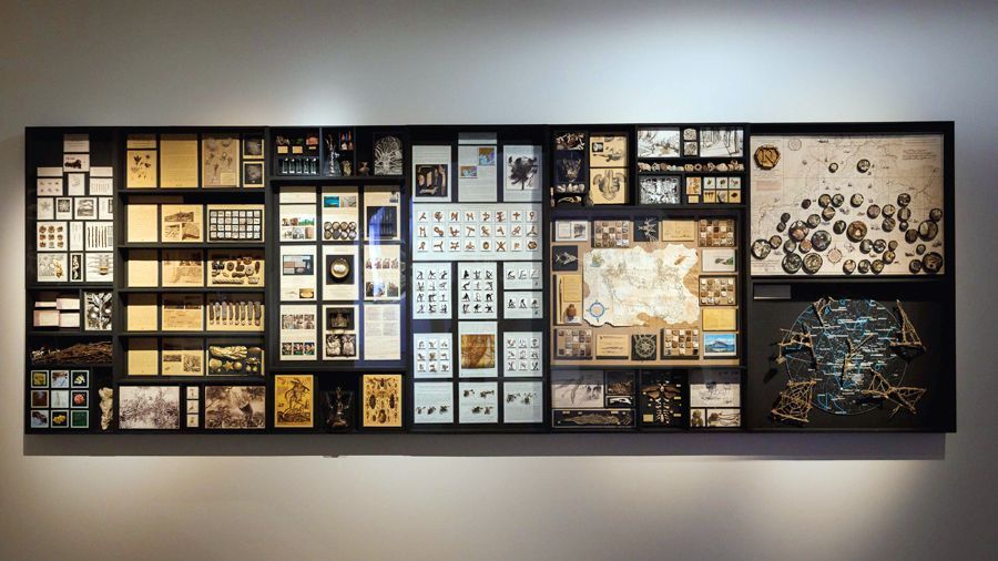 Художник Валерий Гриковский: «Я не смеюсь над наукой, а наоборот — стараюсь ей помочь»