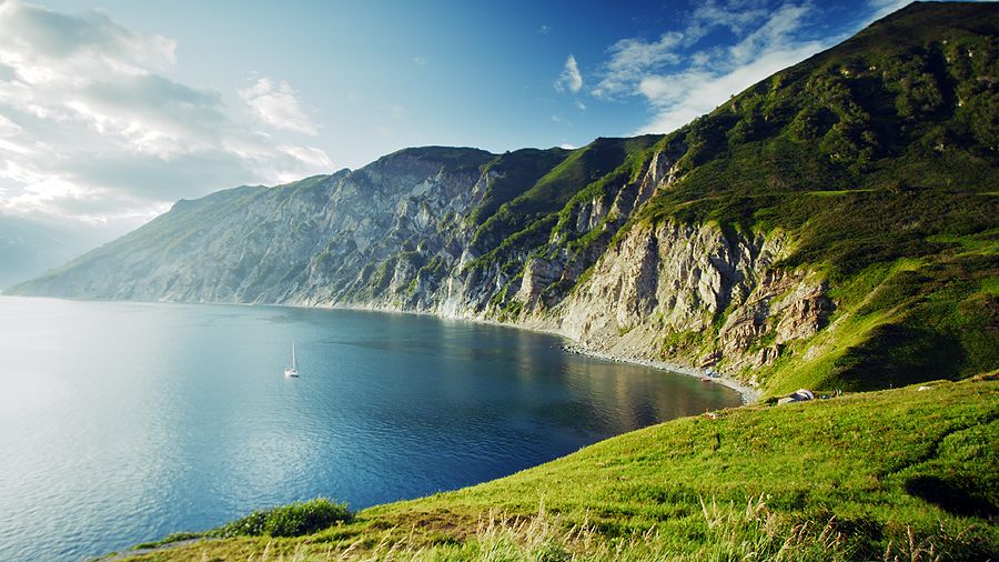 «О людях и китах» «О людях и китах»