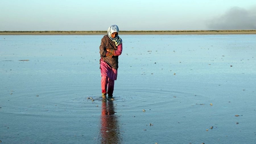 Фильм «Потерянный сезон»