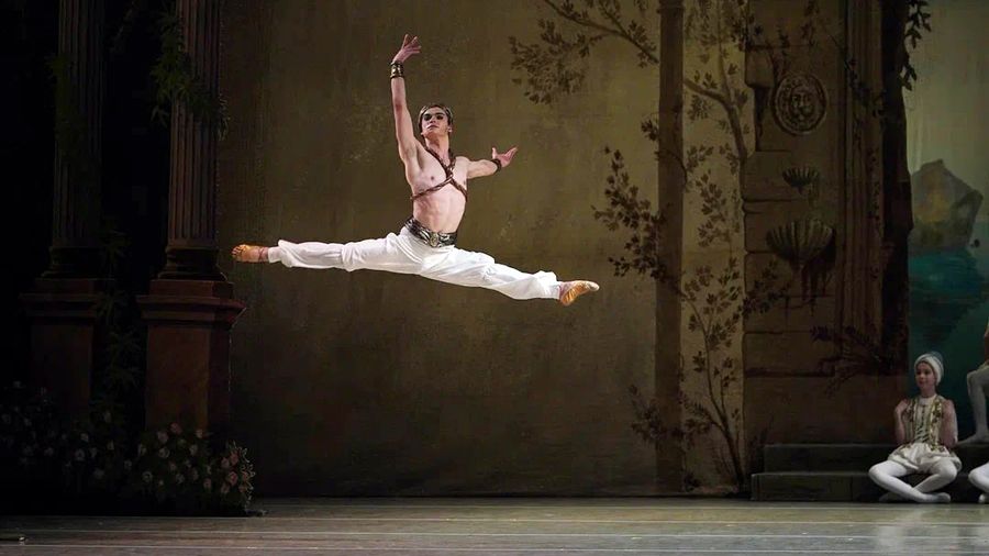 Тайга Кодама-Помфрет