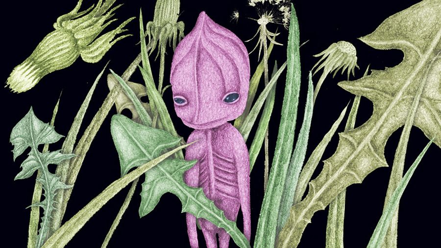 «Алешенька»