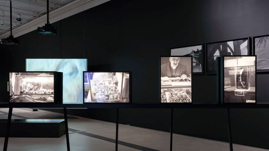 Экспозиция выставки «Улица Cна»