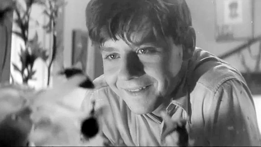 "Шумный день" "Шумный день"