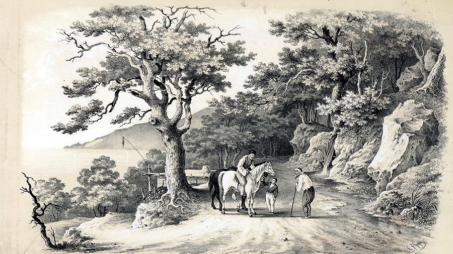 Федор Гросс, «Никита» Федор Гросс, «Никита»