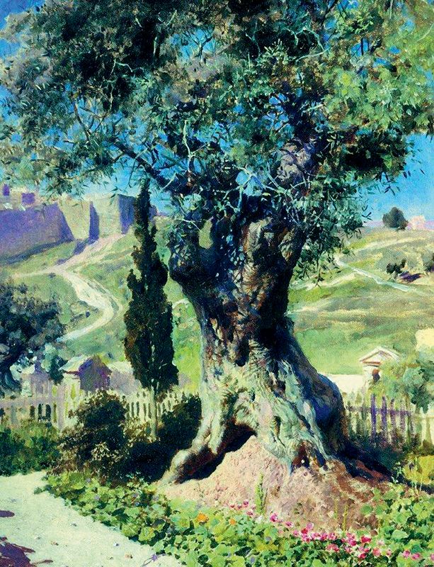 «Олива в Гефсиманском саду»