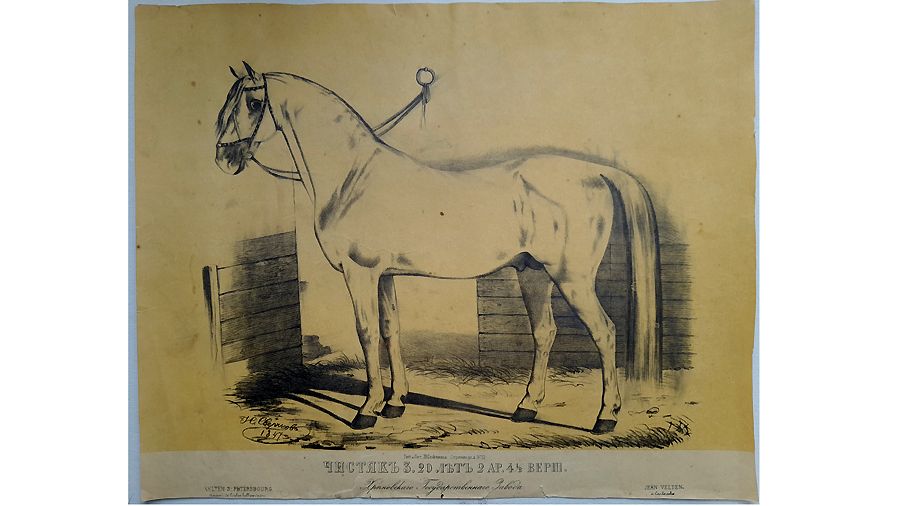 «Кони / люди: иппический жанр в графике эпохи романтизма»