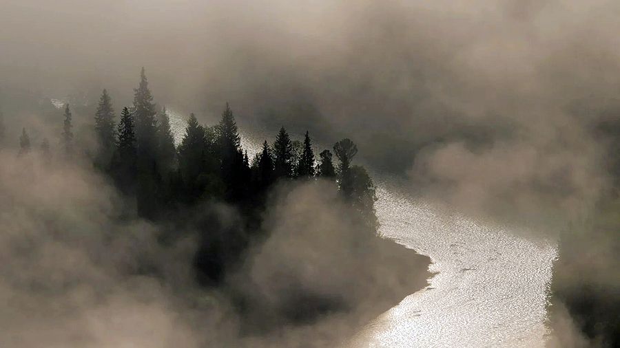 «Лес. Хранитель жизни» «Лес. Хранитель жизни»