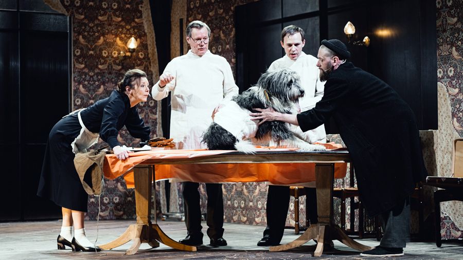 «Собачье сердце»