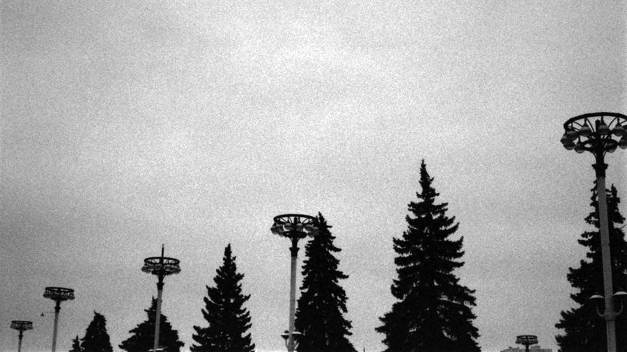 Ольга Чернышева. «В Москве», 2008