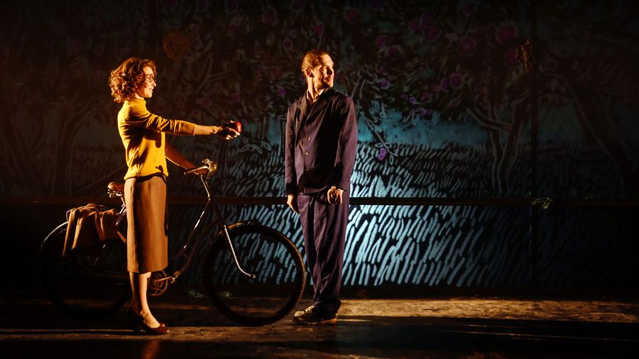 «Школа для дураков»