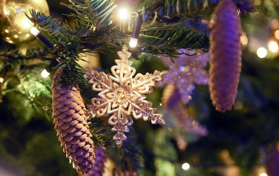 Фото: Дмитрий Белицкий/АГН «Москва»