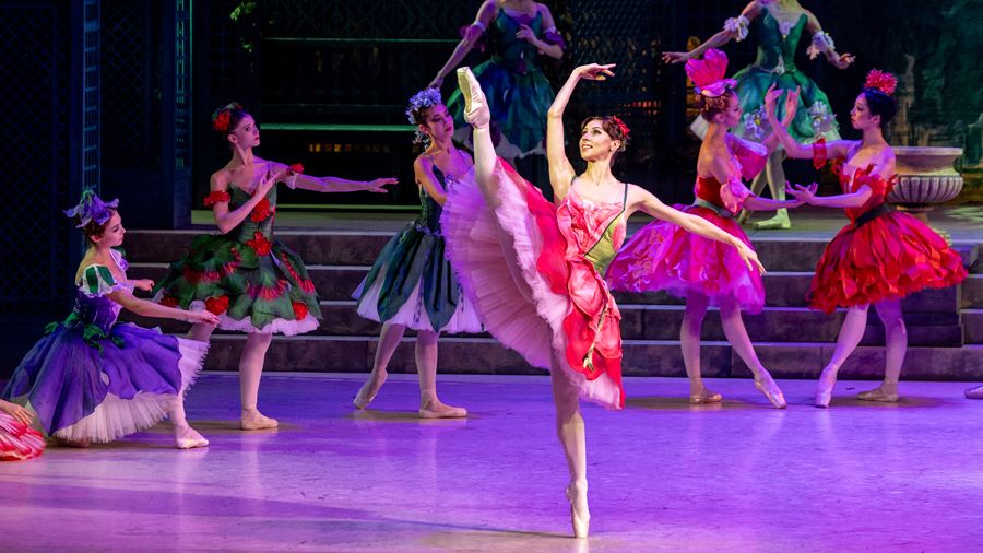 «Балеты Императорского двора» «Балеты Императорского двора»