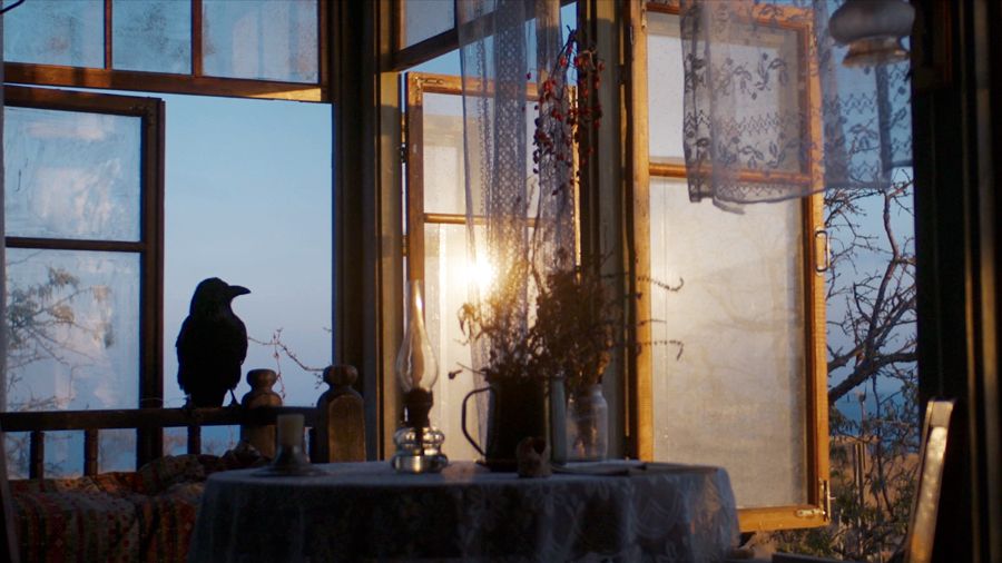 Кадр из фильма «Ветер» (2025)