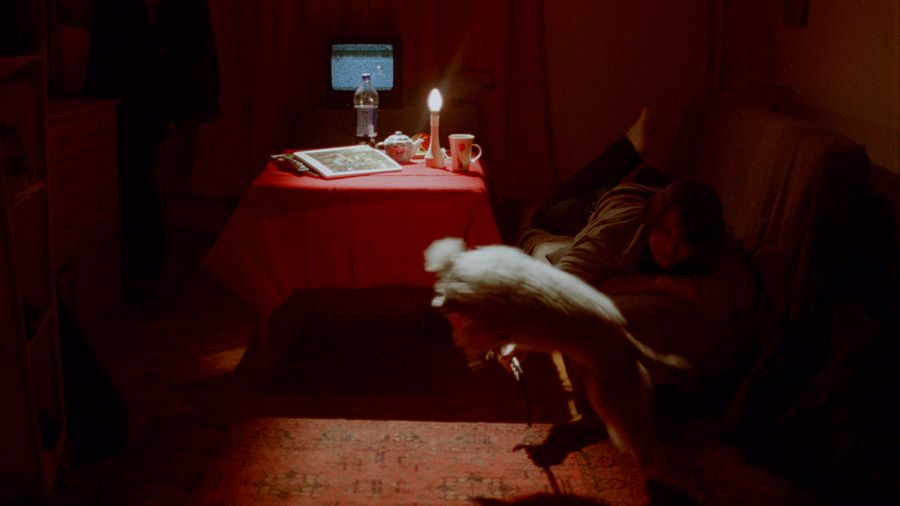 Ольга Чернышева. Кадр из видео «Перебои сердца», 2019.