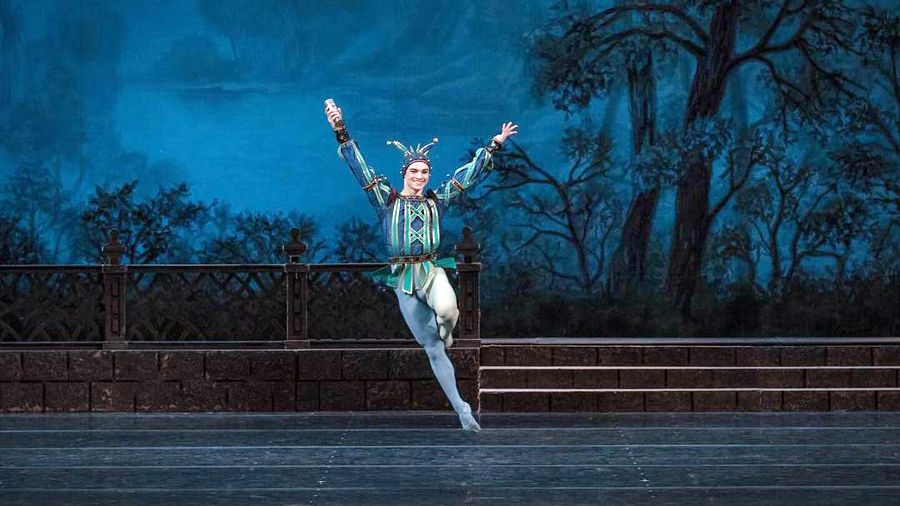 «Лебединое озеро»