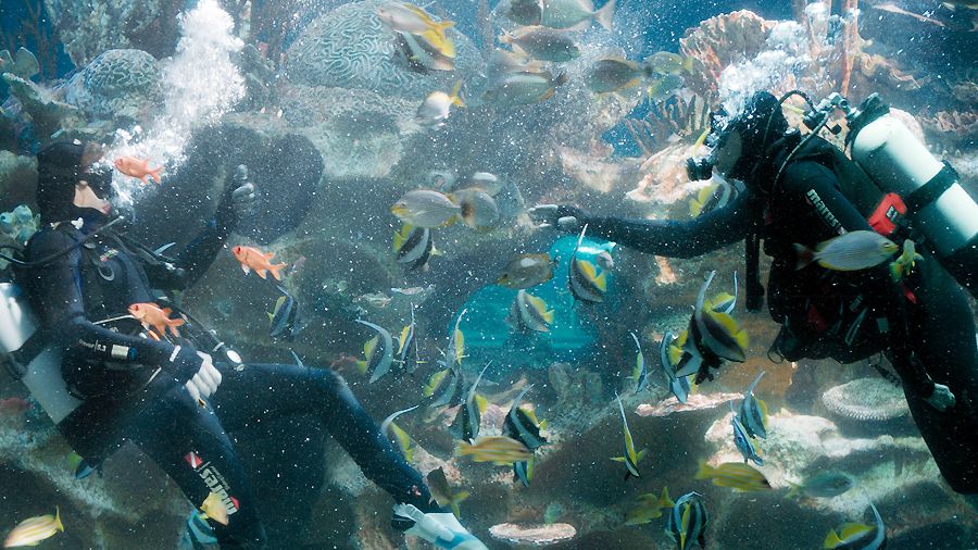 «Северная станция»