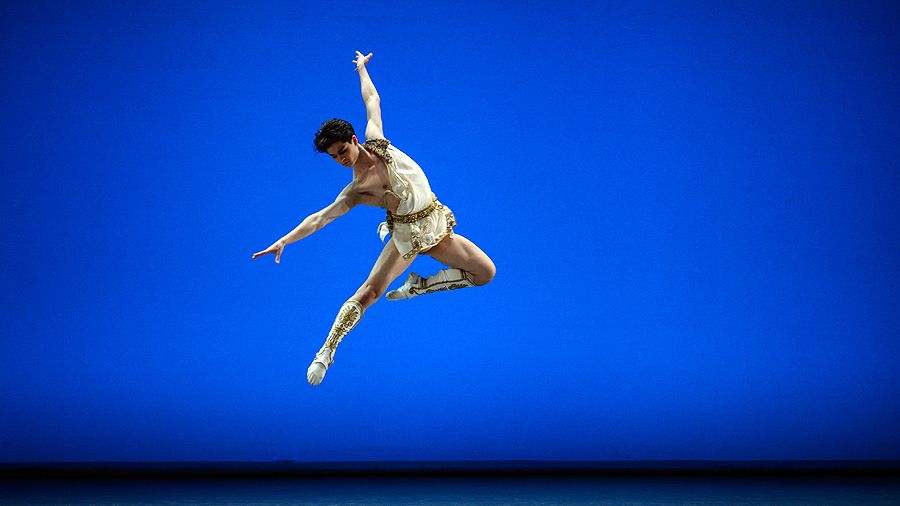 Тайга Кодама-Помфрет