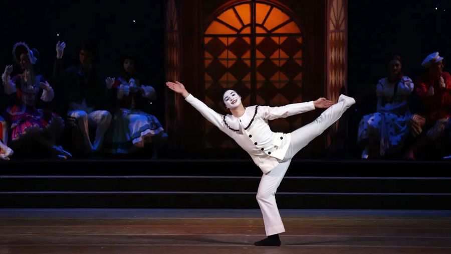 Тайга Кодама-Помфрет