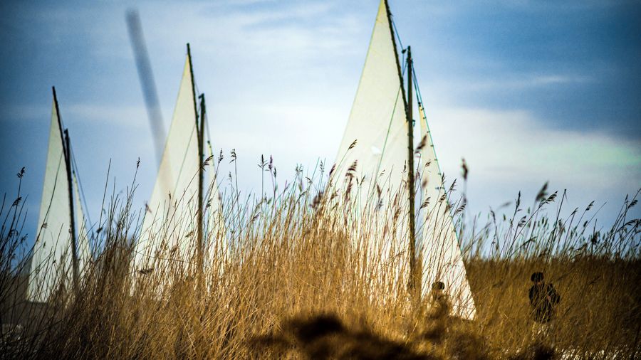 «Ангелы Ладоги»