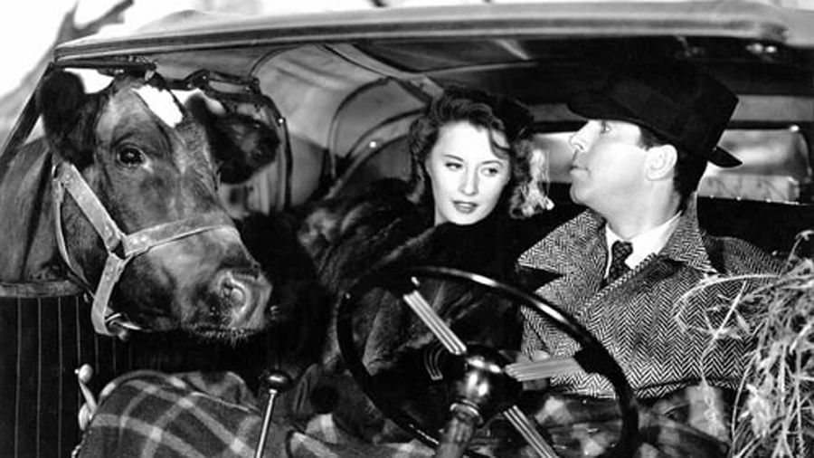 «Запомни ночь»