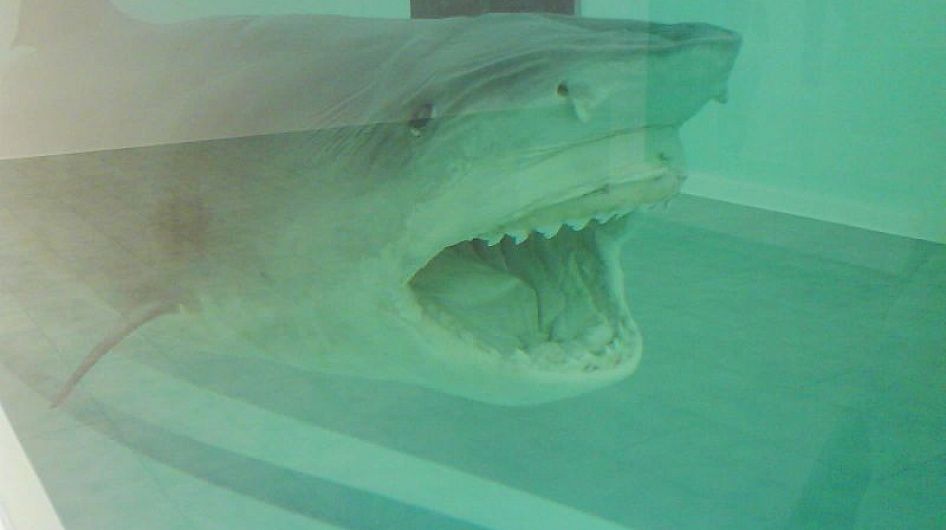 Скандальное современное искусство: «Физическая невозможность смерти в сознании живущего»