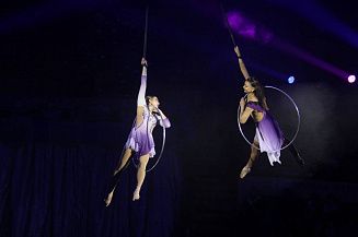 В Донбассе прошли гастроли Росгосцирка