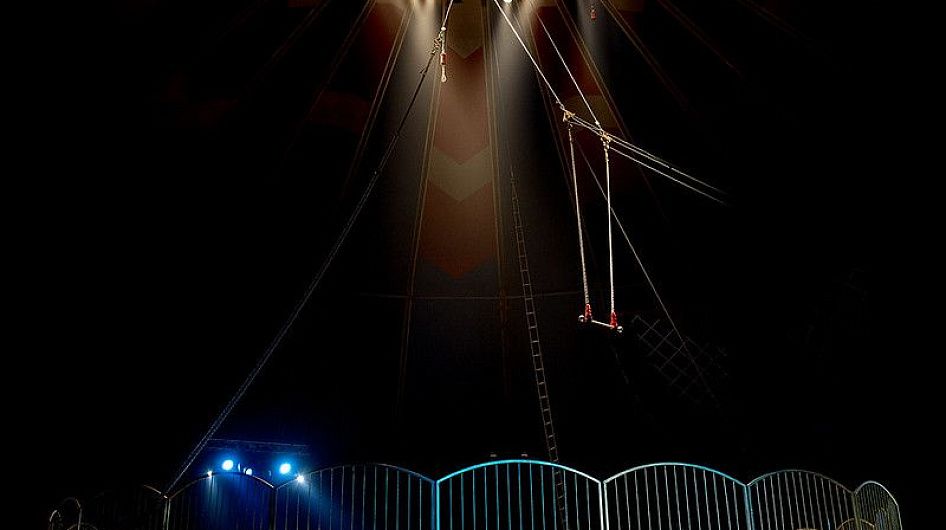 Росгосцирк заключил соглашение о длительных гастролях в Китае