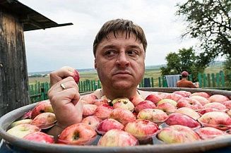 Началось производство пятого сезона сериала «Жуки» 